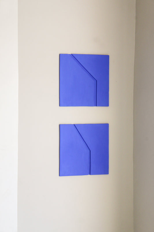 CREVICES-21