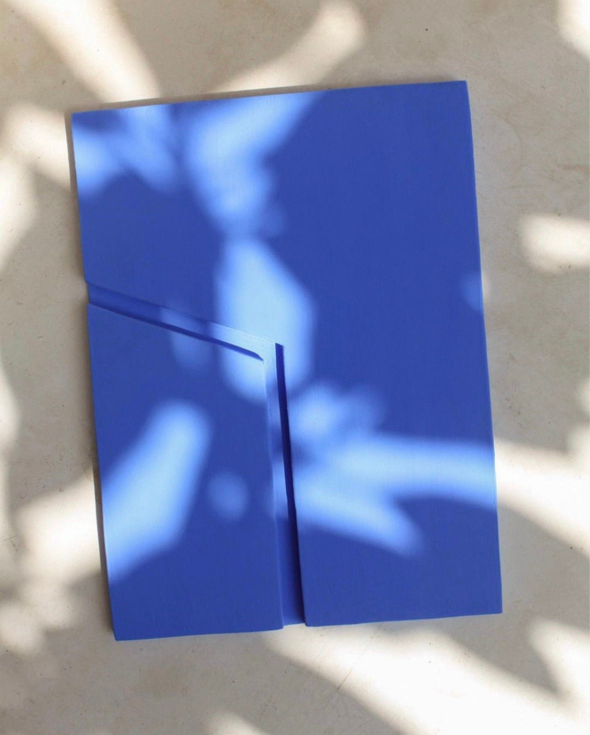 CREVICES-19