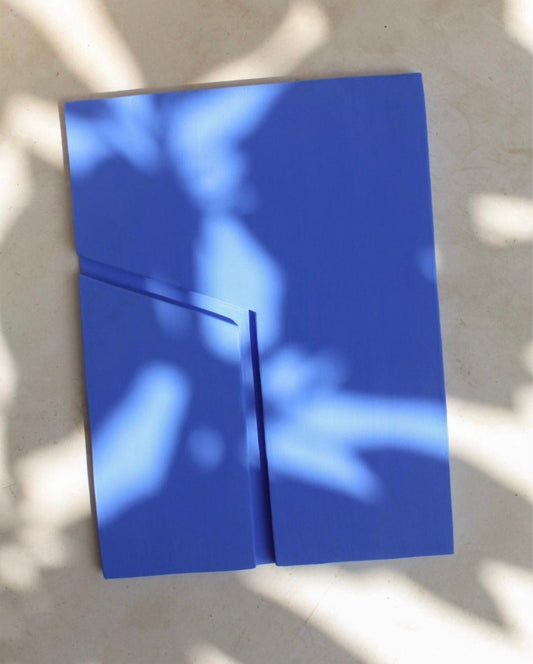 CREVICES-19